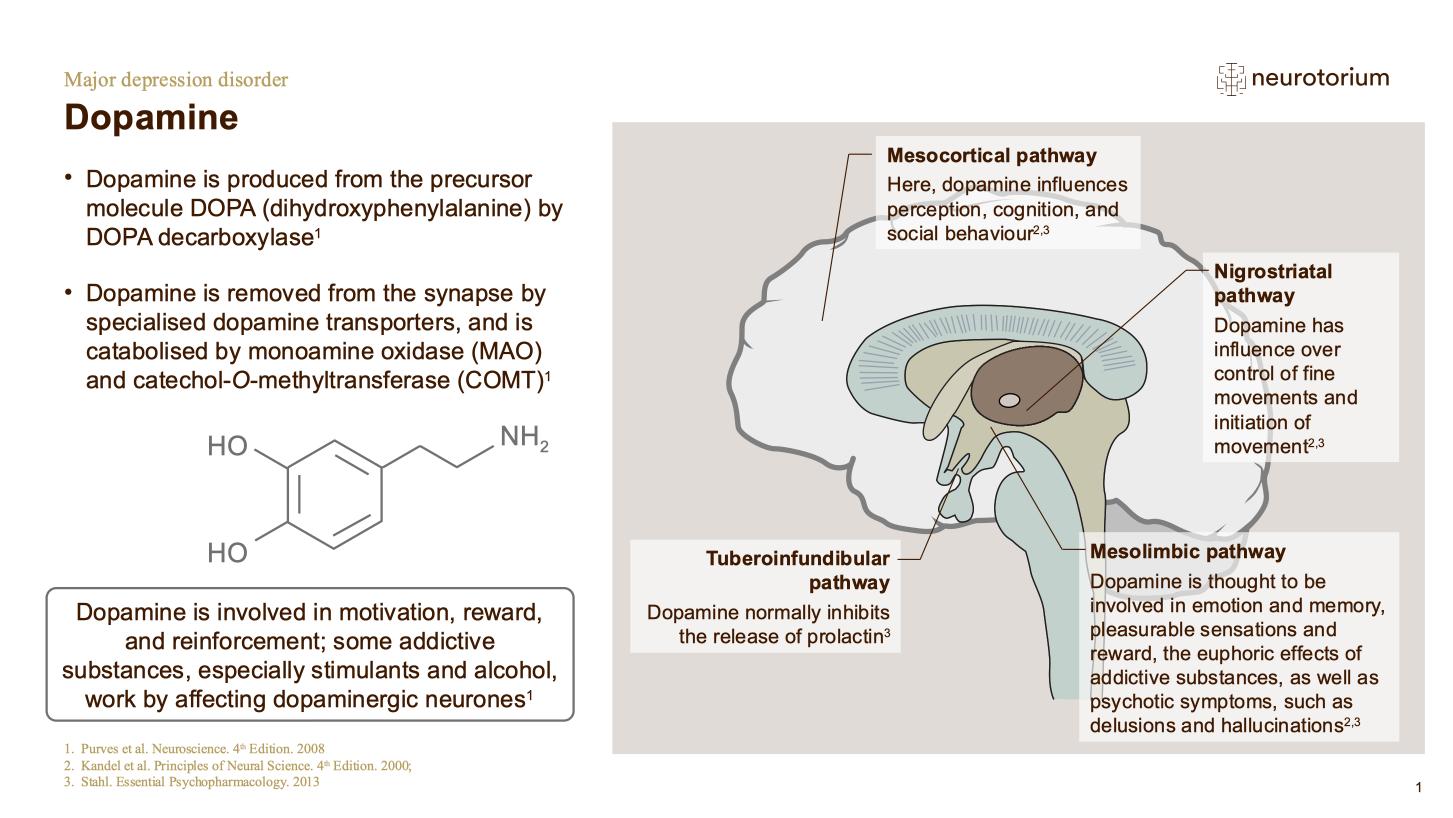 Major Depressive Disorder – Neurobiology and Aetiology – slide 16